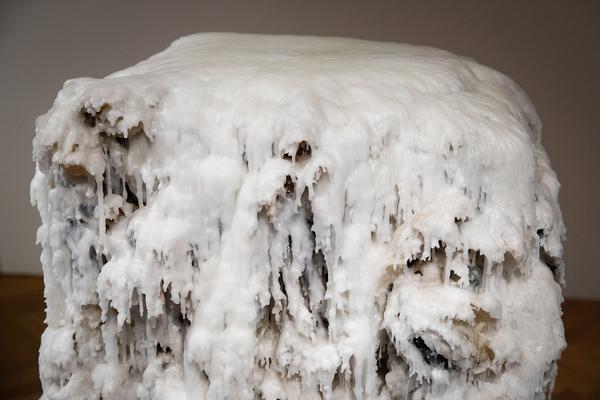 MAK: Chinese Whispers. Neue Kunst aus der Sigg Collection (30.1. - 26.5.2019, Pressekonferenz) https://mak.at/chinesewhispers | Foto: eSeL Foto: eSeL.at - Lorenz Seidler