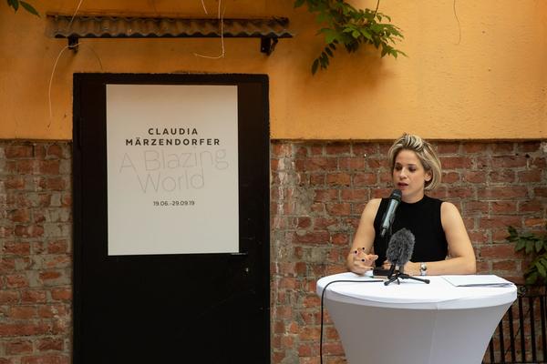 Kunst Haus Wien - Garage: Claudia Märzendorfer - A Blazing World (18.6. - 29.9.2019) https://esel.at/termin/101980 | Foto: eSeL Foto: eSeL.at - Lorenz Seidler