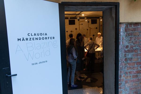 Kunst Haus Wien - Garage: Claudia Märzendorfer - A Blazing World (18.6. - 29.9.2019) https://esel.at/termin/101980 | Foto: eSeL Foto: eSeL.at - Lorenz Seidler