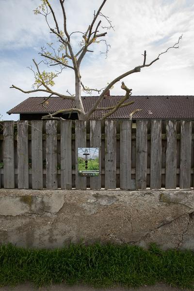 Club Real - Jenseits der Natur: Zweite Sitzung des Gartenparlaments (brut & KOER, 11.5.2019, Gewächshaus im Floridsdorfer Donaufeld, Nordmanngasse 60) https://esel.cc/ClubReal_brut | https://esel.cc/ClubReal_KOER | Foto: eSeL Foto: eSeL.at - Lorenz Seidler