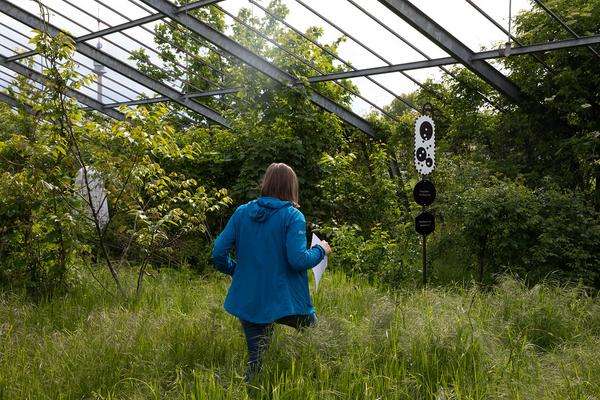 Club Real - Jenseits der Natur: Zweite Sitzung des Gartenparlaments (brut & KOER, 11.5.2019, Gewächshaus im Floridsdorfer Donaufeld, Nordmanngasse 60) https://esel.cc/ClubReal_brut | https://esel.cc/ClubReal_KOER | Foto: eSeL Foto: eSeL.at - Lorenz Seidler