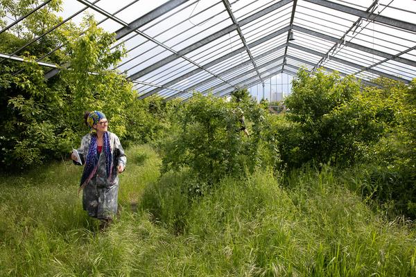 Club Real - Jenseits der Natur: Zweite Sitzung des Gartenparlaments (brut & KOER, 11.5.2019, Gewächshaus im Floridsdorfer Donaufeld, Nordmanngasse 60) https://esel.cc/ClubReal_brut | https://esel.cc/ClubReal_KOER | Foto: eSeL Foto: eSeL.at - Lorenz Seidler