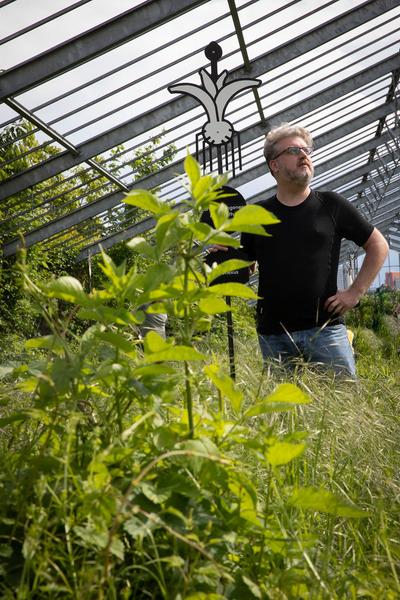 Club Real - Jenseits der Natur: Zweite Sitzung des Gartenparlaments (brut & KOER, 11.5.2019, Gewächshaus im Floridsdorfer Donaufeld, Nordmanngasse 60) https://esel.cc/ClubReal_brut | https://esel.cc/ClubReal_KOER | Foto: eSeL Foto: eSeL.at - Lorenz Seidler