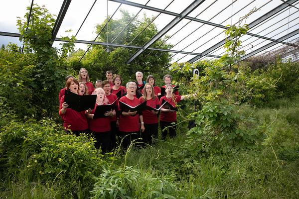 Club Real - Jenseits der Natur: Zweite Sitzung des Gartenparlaments (brut & KOER, 11.5.2019, Gewächshaus im Floridsdorfer Donaufeld, Nordmanngasse 60) https://esel.cc/ClubReal_brut | https://esel.cc/ClubReal_KOER | Foto: eSeL Foto: eSeL.at - Lorenz Seidler