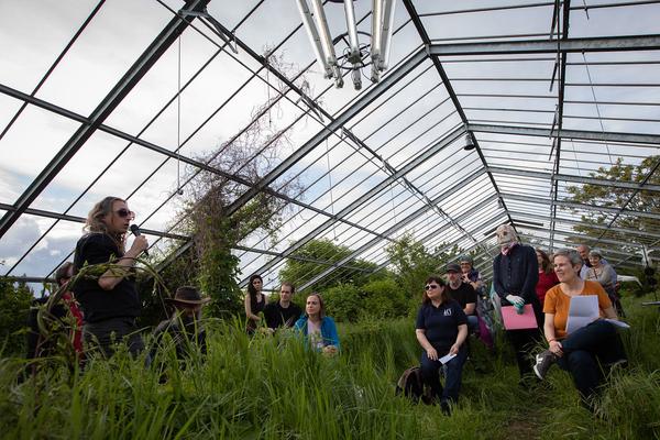 Club Real - Jenseits der Natur: Zweite Sitzung des Gartenparlaments (brut & KOER, 11.5.2019, Gewächshaus im Floridsdorfer Donaufeld, Nordmanngasse 60) https://esel.cc/ClubReal_brut | https://esel.cc/ClubReal_KOER | Foto: eSeL Foto: eSeL.at - Lorenz Seidler
