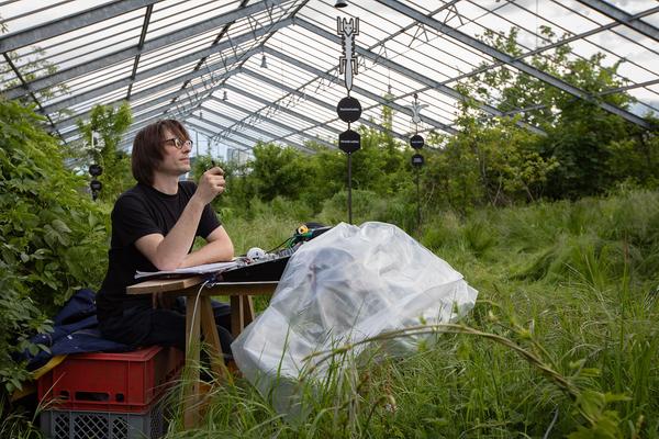 Club Real - Jenseits der Natur: Zweite Sitzung des Gartenparlaments (brut & KOER, 11.5.2019, Gewächshaus im Floridsdorfer Donaufeld, Nordmanngasse 60) https://esel.cc/ClubReal_brut | https://esel.cc/ClubReal_KOER | Foto: eSeL Foto: eSeL.at - Lorenz Seidler