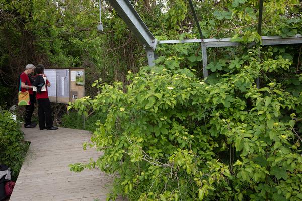 Club Real - Jenseits der Natur: Zweite Sitzung des Gartenparlaments (brut & KOER, 11.5.2019, Gewächshaus im Floridsdorfer Donaufeld, Nordmanngasse 60) https://esel.cc/ClubReal_brut | https://esel.cc/ClubReal_KOER | Foto: eSeL Foto: eSeL.at - Lorenz Seidler