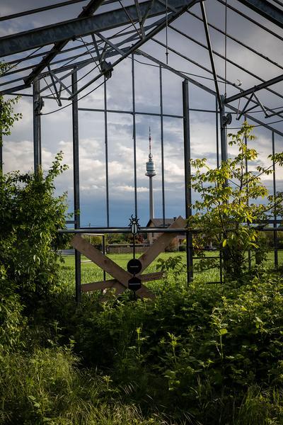 Club Real - Jenseits der Natur: Zweite Sitzung des Gartenparlaments (brut & KOER, 11.5.2019, Gewächshaus im Floridsdorfer Donaufeld, Nordmanngasse 60) https://esel.cc/ClubReal_brut | https://esel.cc/ClubReal_KOER | Foto: eSeL Foto: eSeL.at - Lorenz Seidler