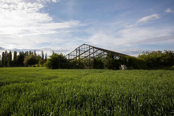 Club Real - Jenseits der Natur: Zweite Sitzung des Gartenparlaments (brut & KOER, 11.5.2019, Gewächshaus im Floridsdorfer Donaufeld, Nordmanngasse 60) https://esel.cc/ClubReal_brut | https://esel.cc/ClubReal_KOER | Foto: eSeL Foto: eSeL.at - Lorenz Seidler