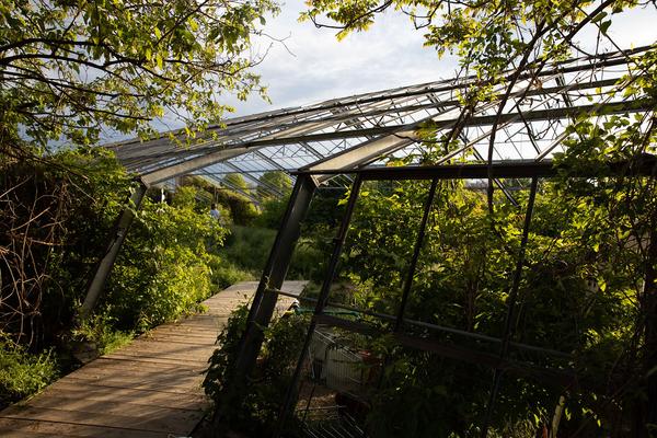Club Real - Jenseits der Natur: Zweite Sitzung des Gartenparlaments (brut & KOER, 11.5.2019, Gewächshaus im Floridsdorfer Donaufeld, Nordmanngasse 60) https://esel.cc/ClubReal_brut | https://esel.cc/ClubReal_KOER | Foto: eSeL Foto: eSeL.at - Lorenz Seidler