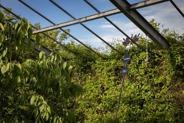 Club Real - Jenseits der Natur: Zweite Sitzung des Gartenparlaments (brut & KOER, 11.5.2019, Gewächshaus im Floridsdorfer Donaufeld, Nordmanngasse 60) https://esel.cc/ClubReal_brut | https://esel.cc/ClubReal_KOER | Foto: eSeL Foto: eSeL.at - Lorenz Seidler
