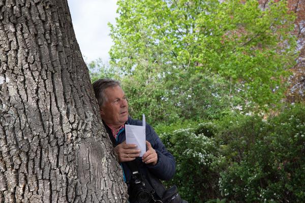 Kunstraum Weikendorf: Constantin Luser: Black Trombone (Eröffnung, 26.4.2019, Kunst im öffentlichen Raum Niederösterreich) https://esel.at/termin/100959 | Foto: eSeL Foto: eSeL.at - Lorenz Seidler