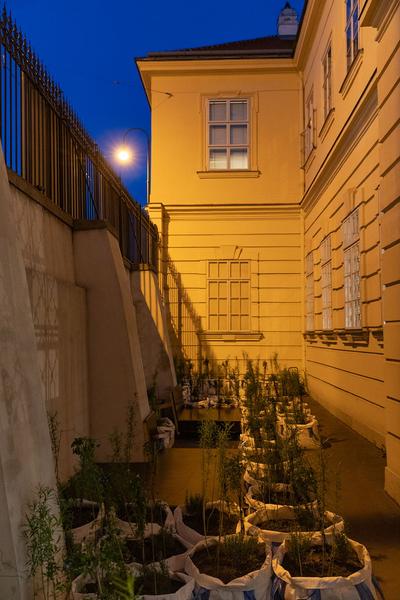 AzW Architekturzentrum Wien: Critical Care. Architektur für einen Planeten in der Krise (25.4. - 9.9.2019) https://esel.cc/AzW_CriticalCare | Foto: eSeL Foto: eSeL.at - Lorenz Seidler