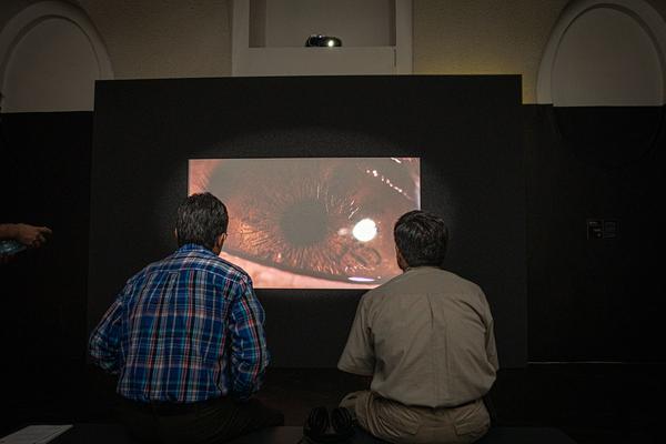 frei_raum Q21 exhibition space: Dance Of Urgency (MQ, 25.4. - 1.9.2019)  https://danceofurgency.com | Foto: eSeL Foto: eSeL.at - Lorenz Seidler