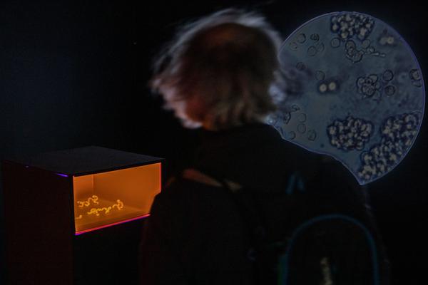 frei_raum Q21 exhibition space: Dance Of Urgency (MQ, 25.4. - 1.9.2019)  https://danceofurgency.com | Foto: eSeL Foto: eSeL.at - Lorenz Seidler
