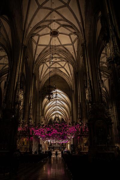 Dom Museum Wien:  DOMerstag - "Wunden am Dom“ mit Dombaumeister Wolfgang Zehetner (14.3.2019) http://www.dommuseum.at/de/besuch/?kid=198&a=d | Foto: eSeL Foto: eSeL.at - Lorenz Seidler