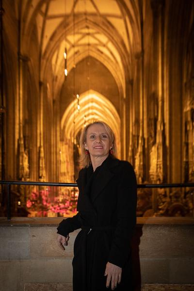 Dom Museum Wien:  DOMerstag - "Wunden am Dom“ mit Dombaumeister Wolfgang Zehetner (14.3.2019) http://www.dommuseum.at/de/besuch/?kid=198&a=d | Foto: eSeL Foto: eSeL.at - Lorenz Seidler