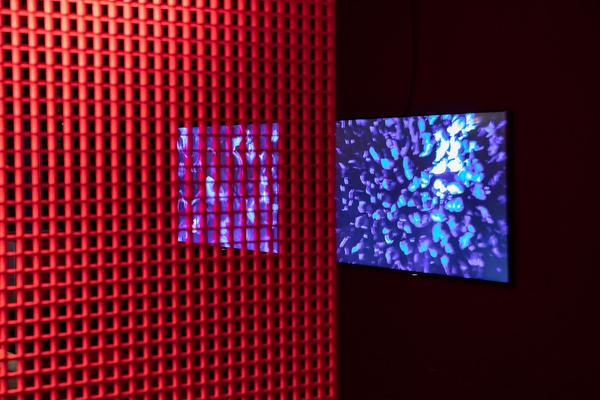 donaufestival 2019 "New Territories" (Eröffnungstag, 26.4.2019) https://esel.at/termin/101192 | Foto: eSeL Foto: eSeL.at - Lorenz Seidler