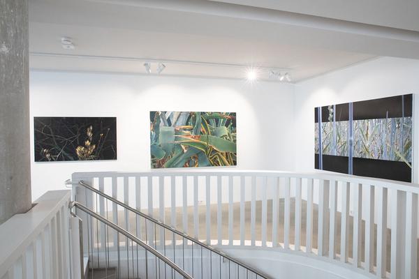 akbild xhibitE: Neueröffnung (Akademie der Bild. Künste Wien, 25.1.2019) https://esel.cc/rundgang2019 | Foto: eSeL Foto: eSeL.at - Lorenz Seidler