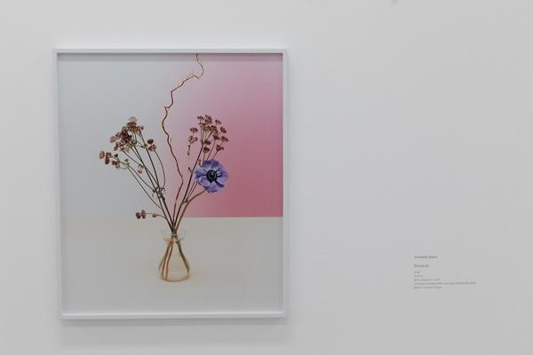mumok: Objects Recognized in Flashes: 
Michele Abeles, Annette Kelm, Josephine Pryde, Eileen Quinlan (16.11.2019 - 13.4.2020) https://www.mumok.at/de/events/objects-recognized-flashes | Foto: eSeL Foto: eSeL.at - Lorenz Seidler
