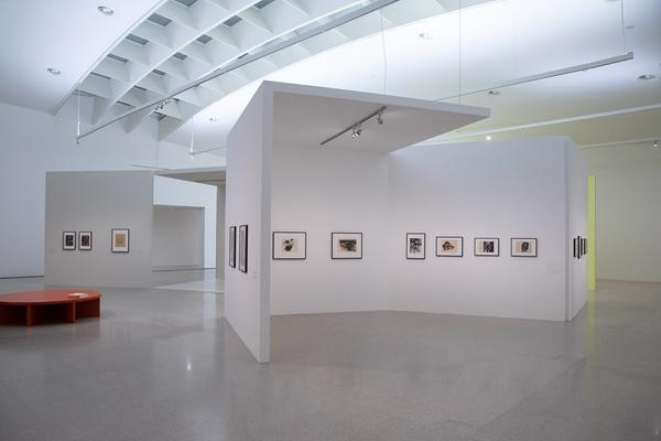 mumok: Forms Larger and Bolder - Eva Hesse Zeichnungen (16.11. - 16.2.2019) https://www.mumok.at/de/events/eva-hesse | Foto: eSeL Foto: eSeL.at - Lorenz Seidler