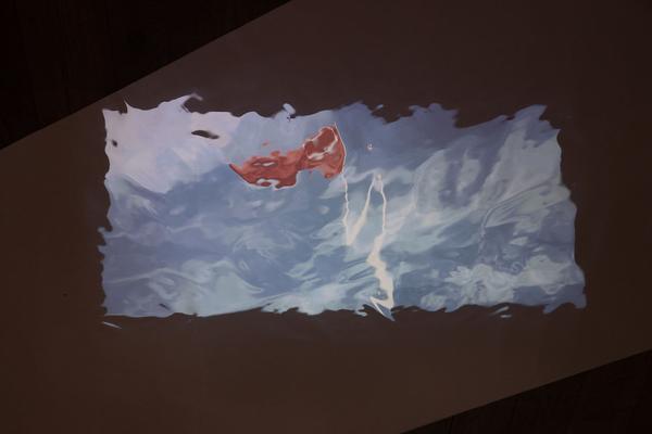 Kunsthalle Exnergasse: Fame/Fake/Fail and Fear – Schwarze Melange (3.5. - 18.5.2019) https://esel.at/termin/100901 | Foto: eSeL Foto: eSeL.at - Lorenz Seidler