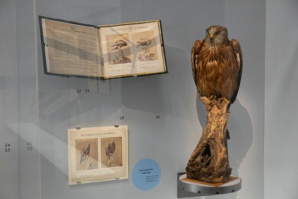Albertina: Foto Buch Kunst (28. Juni - 22. September 2019) https://www.albertina.at/ausstellungen/foto.buch.kunst | Foto. eseL Foto: eSeL.at - Lorenz Seidler