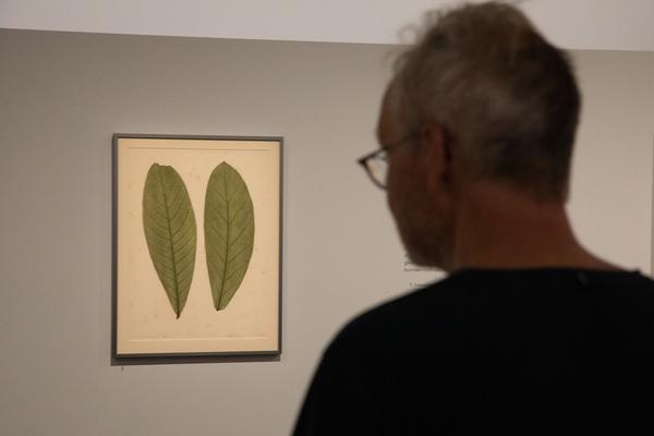 Albertina: Foto Buch Kunst (28. Juni - 22. September 2019) https://www.albertina.at/ausstellungen/foto.buch.kunst | Foto. eseL Foto: eSeL.at - Lorenz Seidler