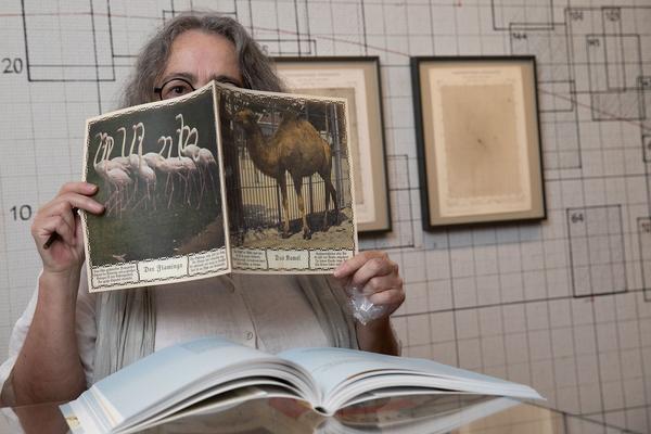 Albertina: Foto Buch Kunst (28. Juni - 22. September 2019) https://www.albertina.at/ausstellungen/foto.buch.kunst | Foto. eseL Foto: eSeL.at - Lorenz Seidler