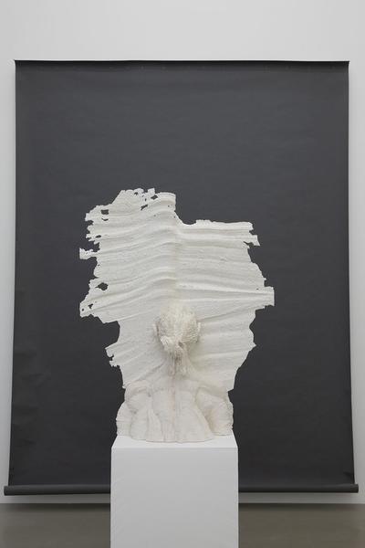 Galerie Meyer Kainer: Gelatin - Beyond Hard (17.1. - 2.3.2019) https://esel.at/termin/99745/gelatin-beyond-hard | Foto: eSeL Foto: eSeL.at - Lorenz Seidler