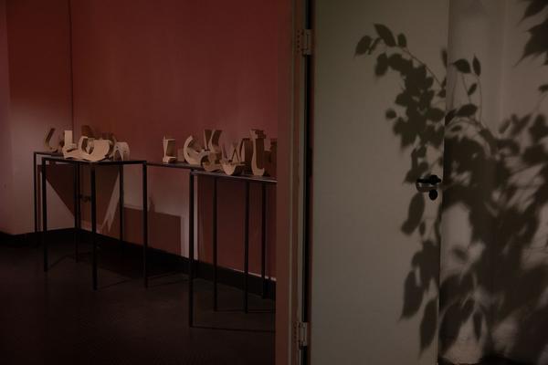 Foto Wien 2019 (Festivalzentrale, Foto: eSeL.at - Lorenz Seidler