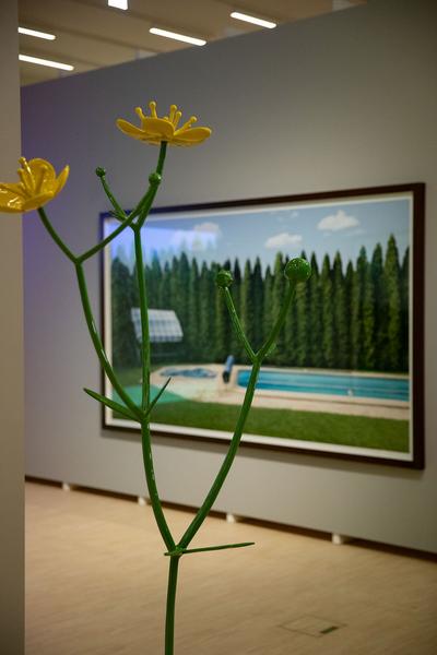 Landesgalerie Niederösterreich: Sehnsuchtsträume. Berührte Natur und besetzte Landschaften (26.05.–19.04.2020) https://www.lgnoe.at/de/ausstellungen/aktuell/sehnsuchtsraeume-beruehrte-natur-und-besetzte-landschaften | Foto: eSeL Foto: eSeL.at - Lorenz Seidler
