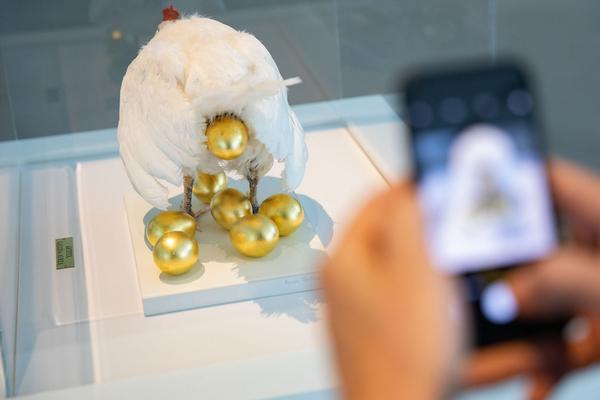 Landesgalerie Niederösterreich: Renate Bertlmann -  Hier ruht meine Zärtlichkeit (26.05–29.09.2019, Presseführung) http://lgnoe.at | Foto: eSeL Foto: eSeL.at - Lorenz Seidler
