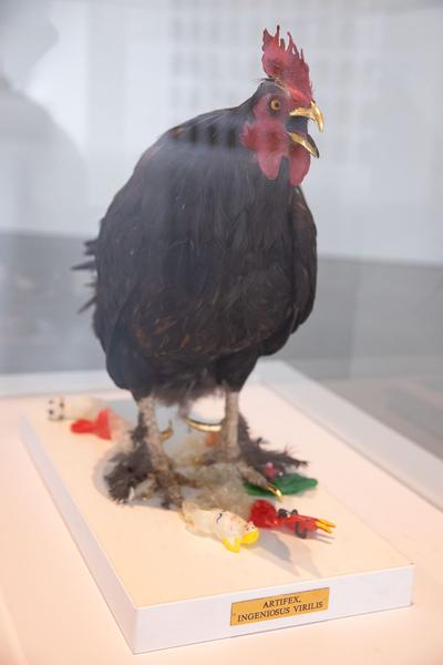 Landesgalerie Niederösterreich: Renate Bertlmann -  Hier ruht meine Zärtlichkeit (26.05–29.09.2019, Presseführung) http://lgnoe.at | Foto: eSeL Foto: eSeL.at - Lorenz Seidler