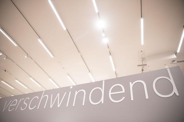 Landesgalerie Niederösterreich: Ich bin alles zugleich. Selbstdarstellung von Schiele bis heute (26.05.–16.08.2020, Presseführung) https://www.lgnoe.at/de/ausstellungen/aktuell/ich-bin-alles-zugleich | Foto: eSeL Foto: eSeL.at - Lorenz Seidler