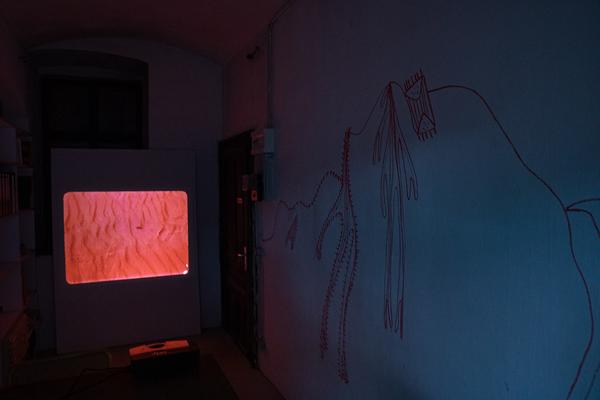 Independent Space Index: Pina - Cartography of Memory (10.10.2019) https://pinavienna.eu | Foto: eSeL Foto: eSeL.at - Lorenz Seidler