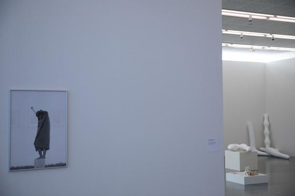 Belvedere 21: Josef Bauer -  Demonstration (4.9.2019 - 12.1.2020) https://esel.at/termin/102626 | Foto: eSeL Foto: eSeL.at - Lorenz Seidler