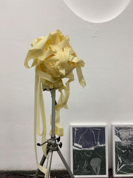 Frei_Raum Q21: Living Studio 2019 (4.12. - 18.1.2020)https://esel.at/termin/104066 | Foto: eSeL