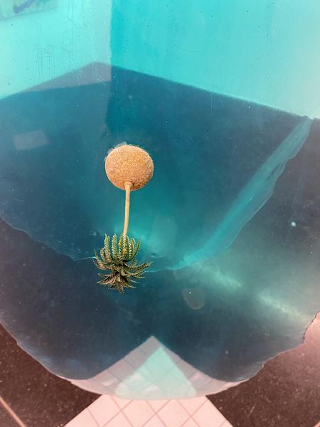 Frei_Raum Q21: Living Studio 2019 (4.12. - 18.1.2020)https://esel.at/termin/104066 | Foto: eSeL
