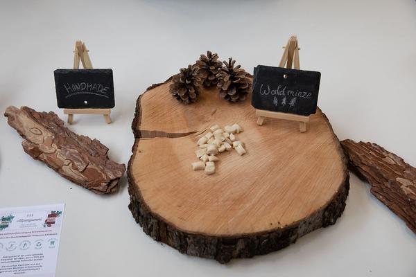 Metastadt: Maker Faire Vienna (4.&5.5.2019) https://esel.at/termin/101376 | Foto: eSeL Foto: eSeL.at - Lorenz Seidler