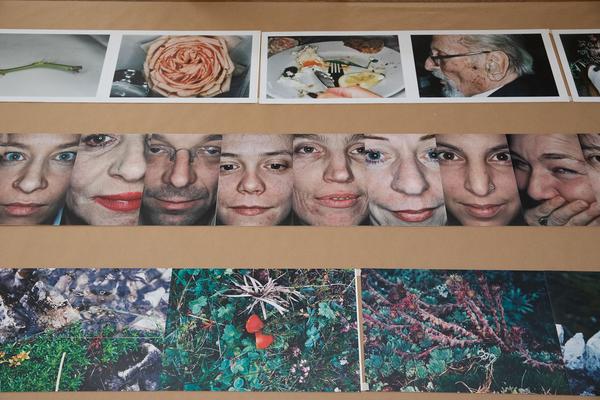 Albertina: Manfred Willmann (8.2. - 26.5.2019, Aufbau) https://www.albertina.at/ausstellungen/manfred-willmann | Foto: eSeL Foto: eSeL.at - Lorenz Seidler