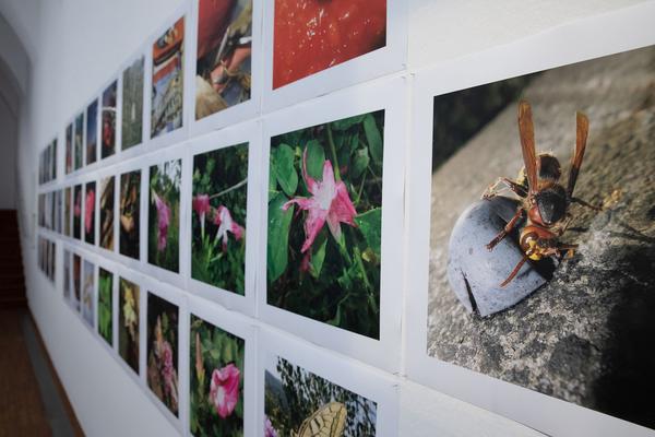 Albertina: Manfred Willmann (8.2. - 26.5.2019, Aufbau) https://www.albertina.at/ausstellungen/manfred-willmann | Foto: eSeL Foto: eSeL.at - Lorenz Seidler