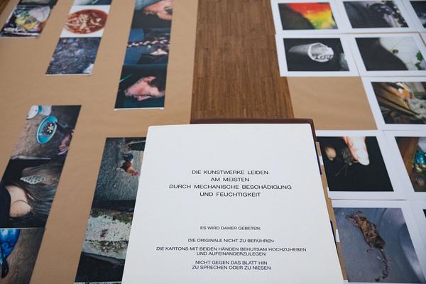 Albertina: Manfred Willmann (8.2. - 26.5.2019, Aufbau) https://www.albertina.at/ausstellungen/manfred-willmann | Foto: eSeL Foto: eSeL.at - Lorenz Seidler
