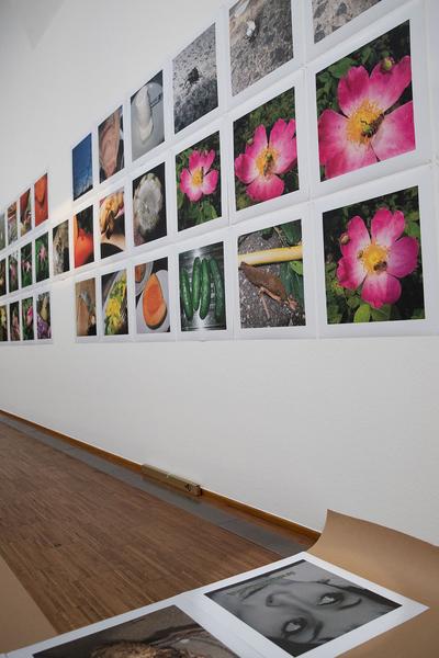 Albertina: Manfred Willmann (8.2. - 26.5.2019, Aufbau) https://www.albertina.at/ausstellungen/manfred-willmann | Foto: eSeL Foto: eSeL.at - Lorenz Seidler