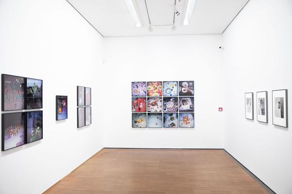 Albertina: Manfred Willmann (8.2. - 26.5.2019, Aufbau) https://www.albertina.at/ausstellungen/manfred-willmann | Foto: eSeL Foto: eSeL.at - Lorenz Seidler