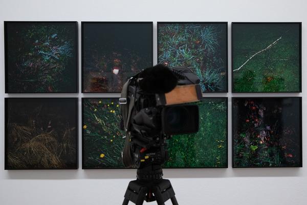 Albertina: Manfred Willmann (8.2. - 26.5.2019, Aufbau) https://www.albertina.at/ausstellungen/manfred-willmann | Foto: eSeL Foto: eSeL.at - Lorenz Seidler