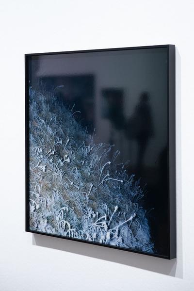 Albertina: Manfred Willmann (8.2. - 26.5.2019, Aufbau) https://www.albertina.at/ausstellungen/manfred-willmann | Foto: eSeL Foto: eSeL.at - Lorenz Seidler