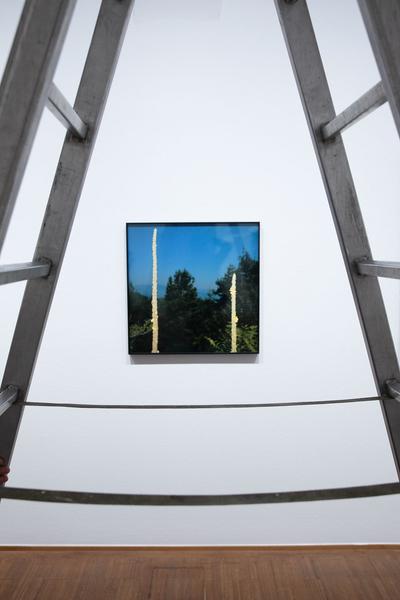 Albertina: Manfred Willmann (8.2. - 26.5.2019, Aufbau) https://www.albertina.at/ausstellungen/manfred-willmann | Foto: eSeL Foto: eSeL.at - Lorenz Seidler
