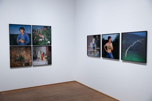 Albertina: Manfred Willmann (8.2. - 26.5.2019, Aufbau) https://www.albertina.at/ausstellungen/manfred-willmann | Foto: eSeL Foto: eSeL.at - Lorenz Seidler