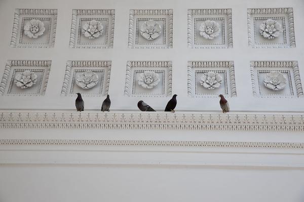 Theseustempel: Maurizio Cattelan (24.4. - 6.10.2019) https://esel.at/termin/101208 | Foto: eSeL Foto: eSeL.at - Lorenz Seidler
